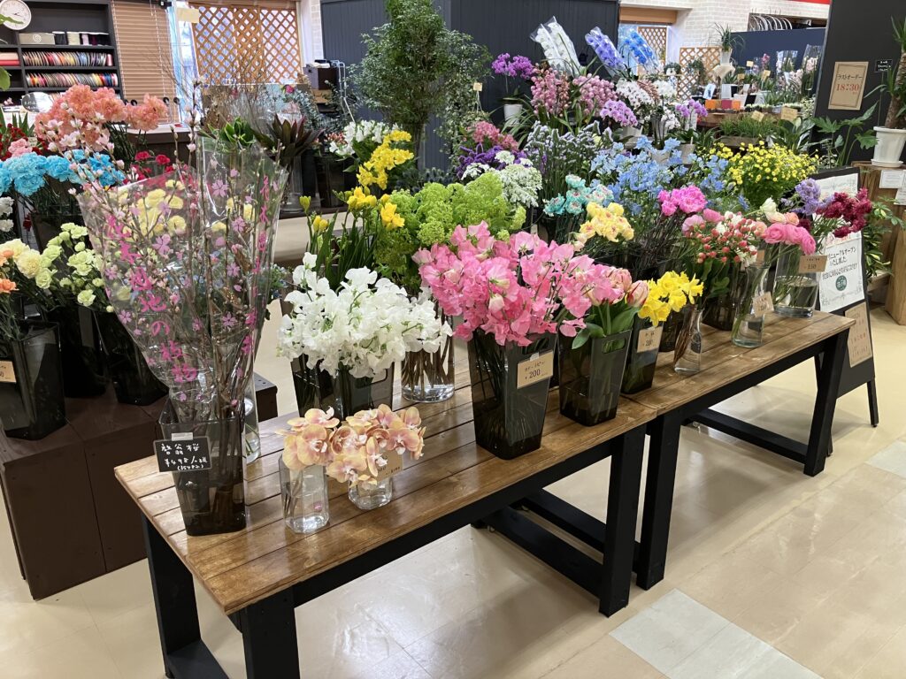 春の花入荷！